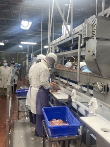 people working on a factory line with masks and protective smocks