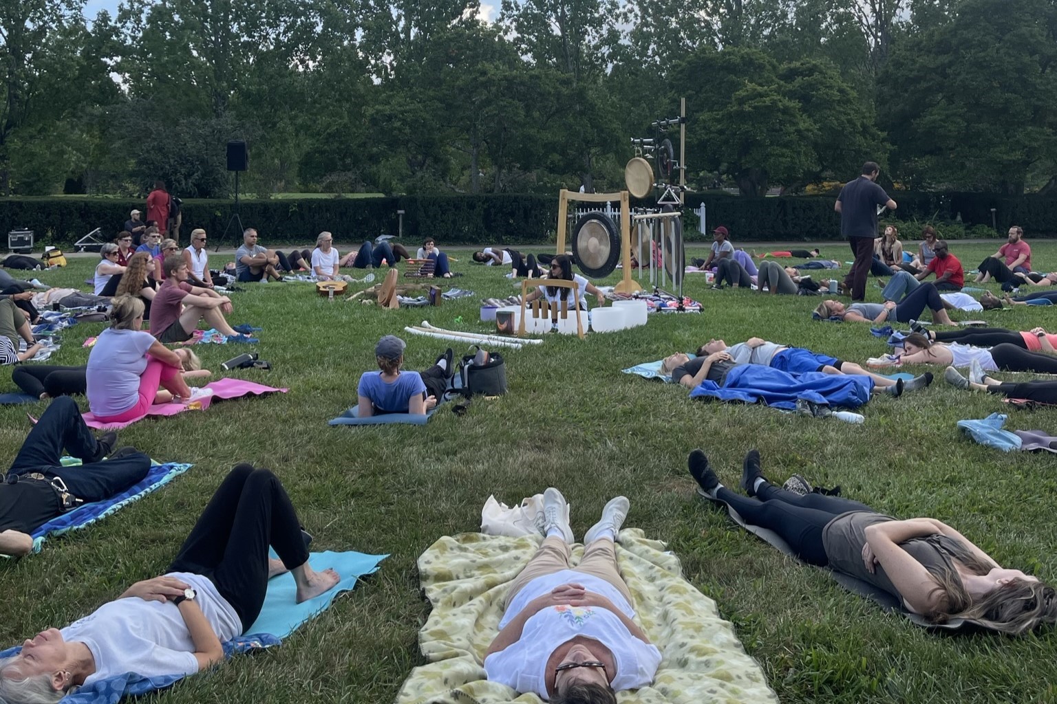 Group of people in park during sound immersion