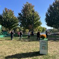 group of people doing yoga at blink