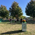 group of people doing yoga at blink