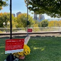 mindful sign at blink