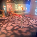 the appreciate your body exhibit