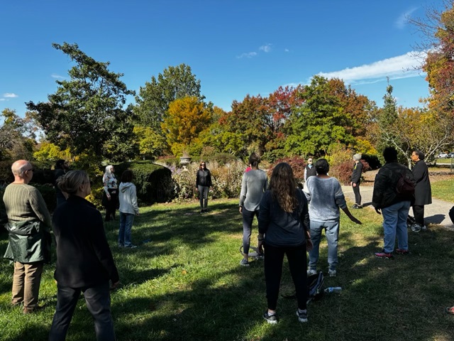 group of people doing a forest therapy walk at a park