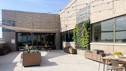 view of the osher wellness suite rooftop healing garden including potted plants, living wall, and seats and tables, looking into the building
