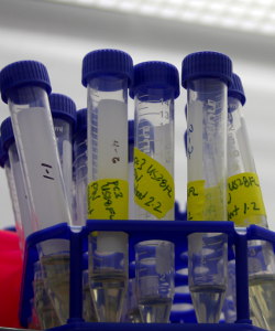 gladish4012rsbar Image of test tubes