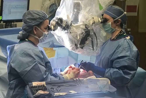 CurriculumPage Plastic surgery residents in surgery