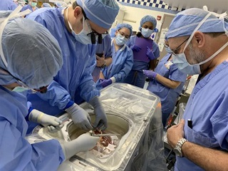 transplant open surgery