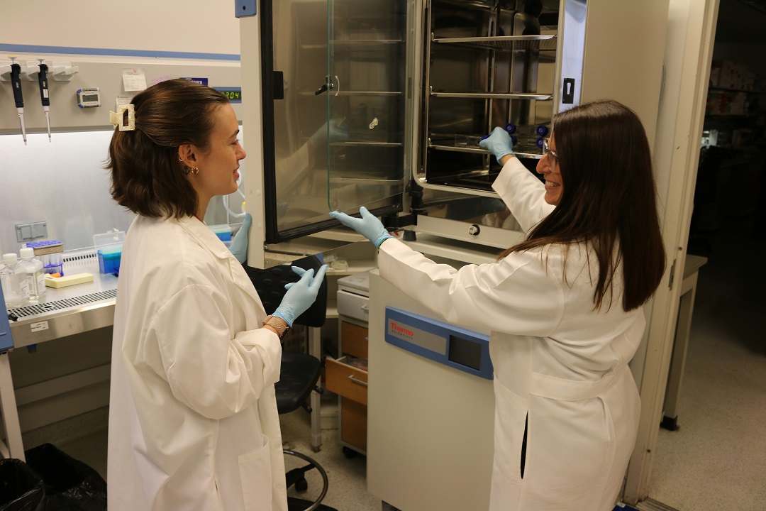Resident in lab